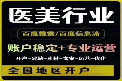 案例对比：SEO与SEM优化效果深度分析
